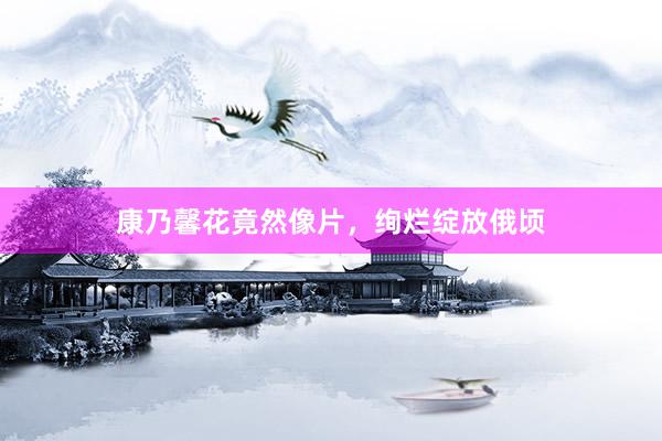 康乃馨花竟然像片，绚烂绽放俄顷