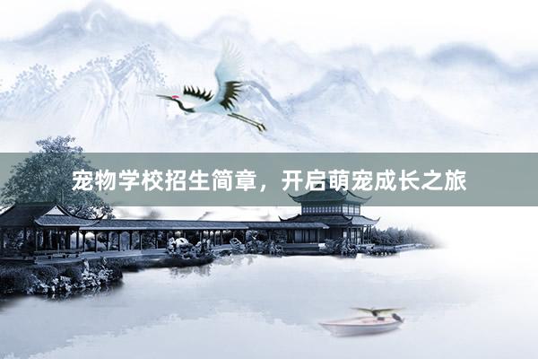 宠物学校招生简章,开启萌宠成长之旅