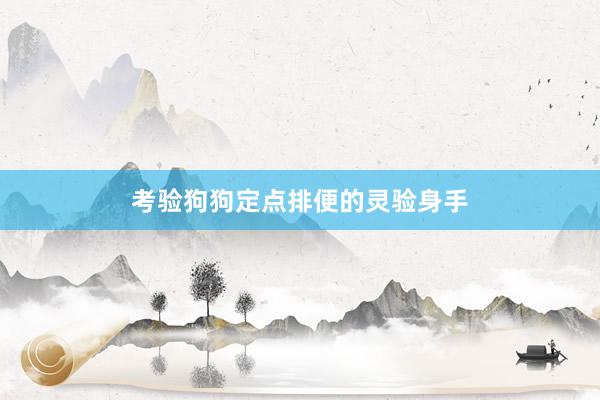 考验狗狗定点排便的灵验身手